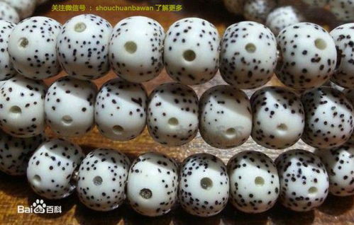 菩提珠代表什么含义 菩提珠有什么作用和功效