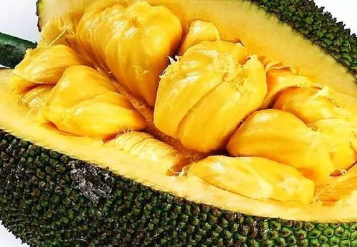 菠萝蜜剥开里面种子发芽 刚开菠萝蜜为什么核发芽