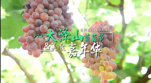 葡萄树9月份能种吗 8月种葡萄树能活吗