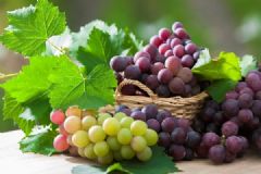 葡萄有什么好处和功效 多吃葡萄的十大好处