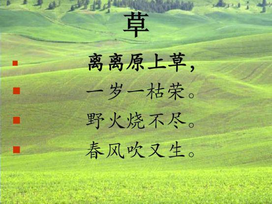 蒹葭真正的含义 蒹葭三种寓意