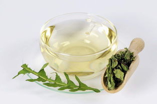 蒲公英茶可以天天喝吗 女人一周喝几次蒲公英茶好呀