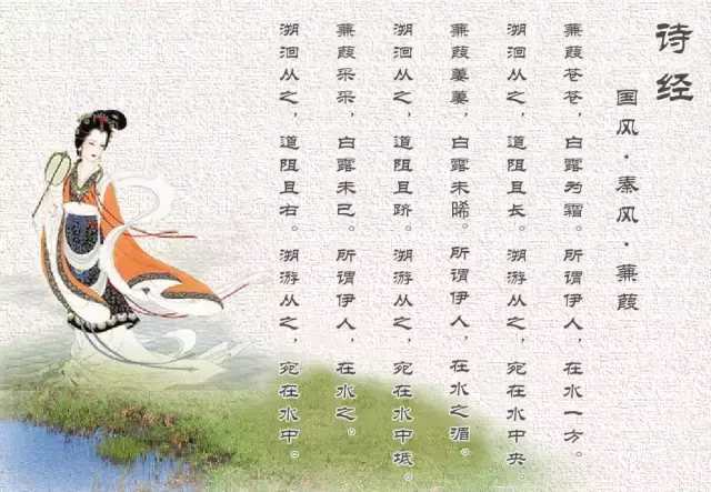 蒹葭苍苍白露为霜全文 《蒹葭》全诗的拼音