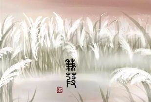 蒹葭对爱情的寓意 蒹葭的情感内涵