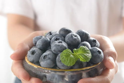 蓝莓吃皮好还是不吃皮 蓝莓一天吃多少颗为宜