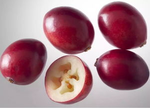 蔓越莓对妇科炎症有效果吗 女性长期吃蔓越莓有害处吗