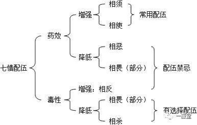 薄荷与什么相克 薄荷的最佳配伍