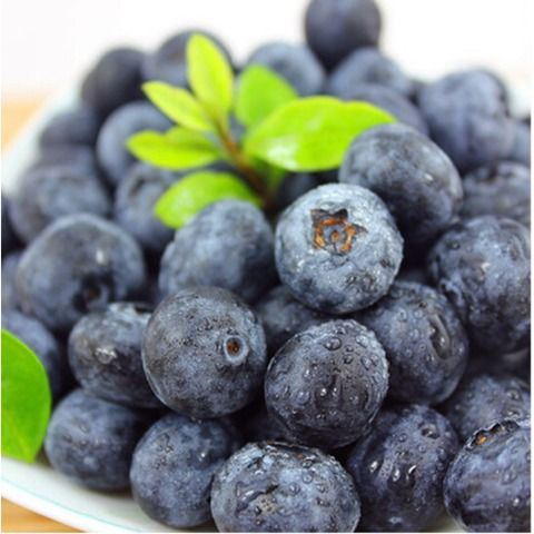 蓝莓直接冷冻还是洗后再冻 蓝莓冷冻后解冻会坏吗