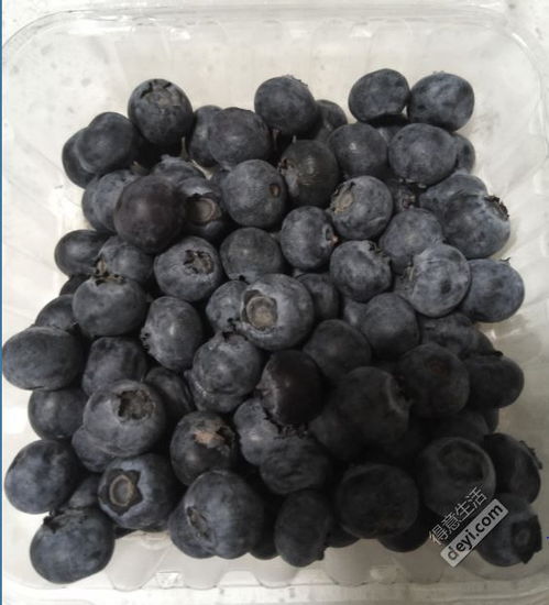 蓝莓放冰箱15天还能吃吗 蓝莓一次吃125g会死吗