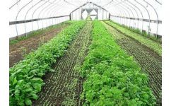 蔬菜大棚造价明细表 蔬菜大棚造价与利润