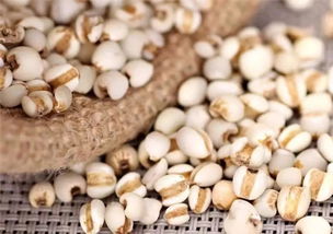 薏仁的禁忌和副作用 薏仁长期吃有副作用吗