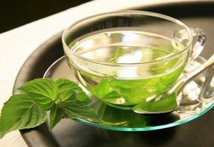 薄荷叶三种人不宜吃 薄荷叶致癌为什么那么快