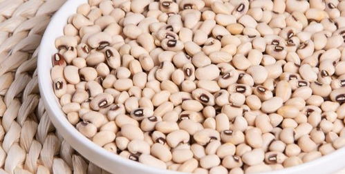 薏米的俗名叫什么 薏米在北方俗称叫什么