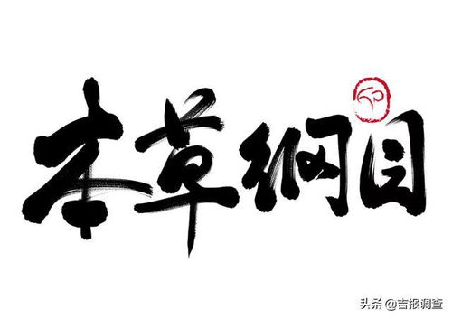 薤白是什么东西 薤白俗称什么