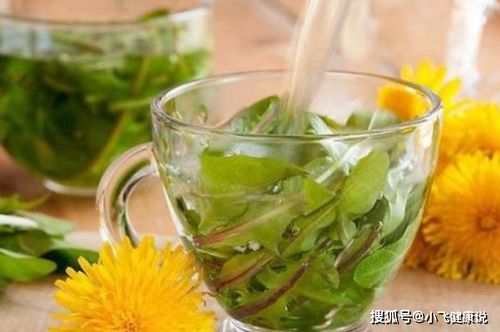薄荷治什么病最好最快 女人喝薄荷水的好处