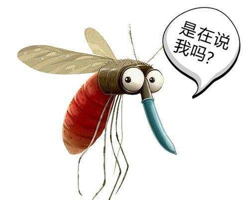 蚊子最怕的三种香水 蚊子最讨厌的6种气味