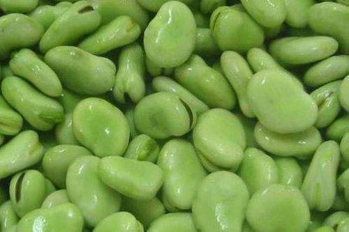 蚕豆和啥菜炒最好吃 蚕豆最佳搭配食物