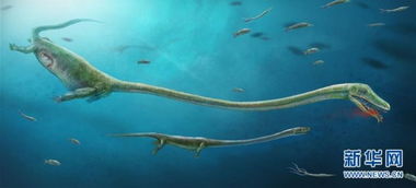 蚯蚓是胎生还是卵生 蚯蚓产卵是什么样子的