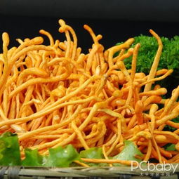 虫草花相克食物 虫草花5大禁忌一览表