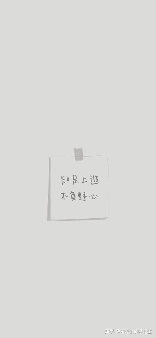 被花治愈的文案 高情商晒花朋友圈文案