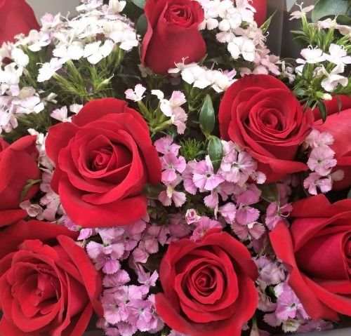 表白19朵和21朵玫瑰哪个好 第一次送花11朵还是19朵