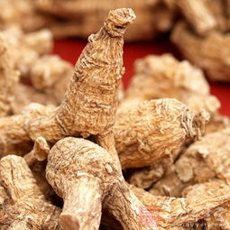 西洋参什么功效和作用 西洋参对男性性功能有效吗