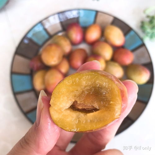 西梅和李子是一个科属 为啥西梅和李子一个味