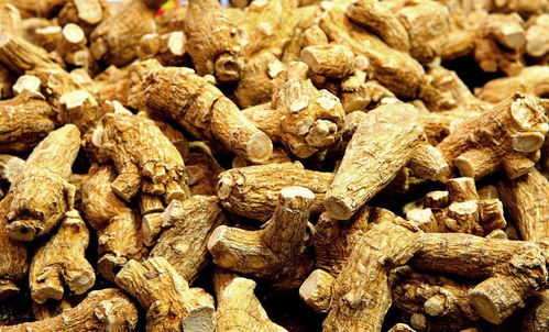 西洋参三种人不能用 哪些女人不能喝西洋参