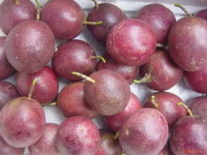 西番莲别名叫什么 中国的西番莲图片