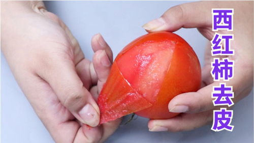 西红柿去皮小妙招 西红柿剥皮的最佳方法