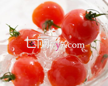 西红柿的20种最佳搭配 西红柿10道经典菜谱