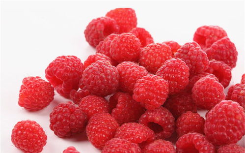 覆盆子久服令其坚长 覆盆子吃了能二次发育吗