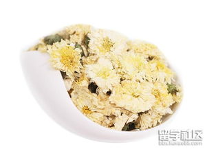 贡菊的作用与功效 贡菊的副作用太大了