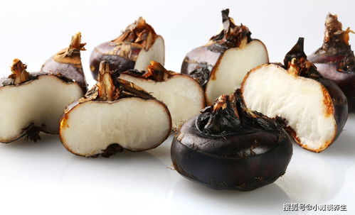 豆丹学名叫什么 豆丹什么人不能吃