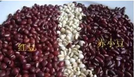 赤小豆为什么泡一晚上还煮不烂 赤小豆快速煮烂的方法