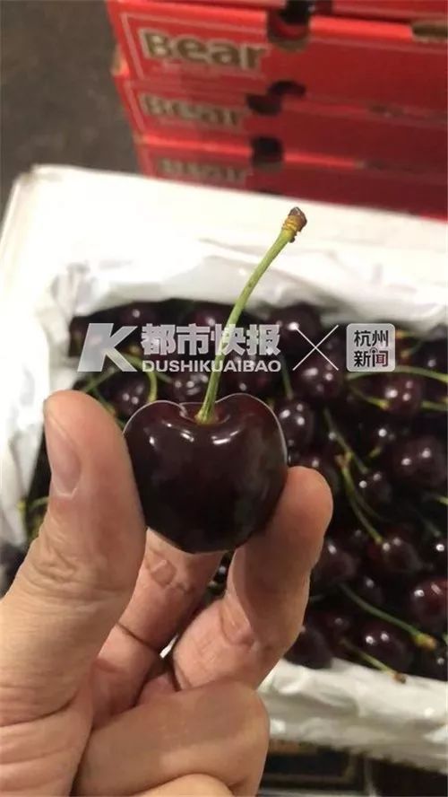 车厘子竟然是隐藏最深的卧底 车厘子是国际刑警卧底