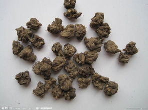 赤芍主治什么病 赤芍的神奇功效