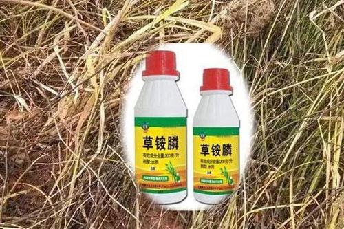 连根杀死的除草剂 最厉害的烂草根除草剂