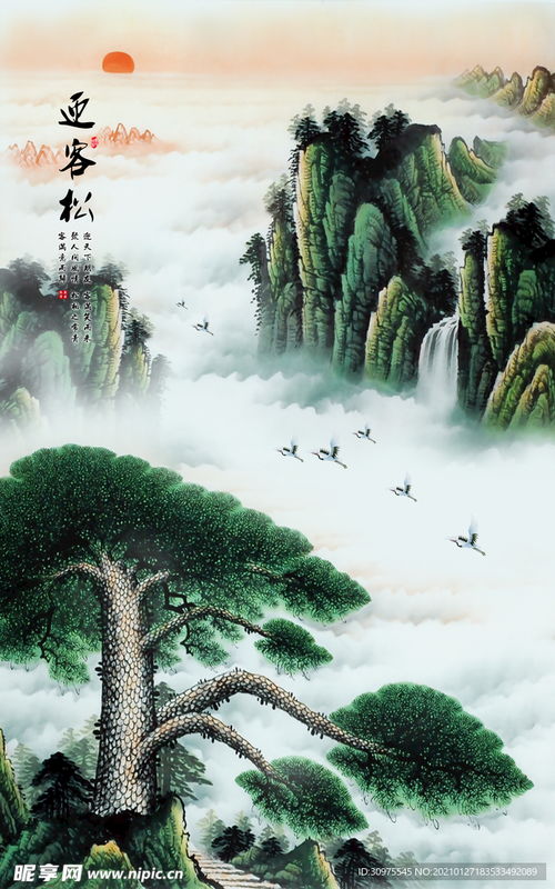 迎客松的风水寓意是什么 迎客松最大的忌讳