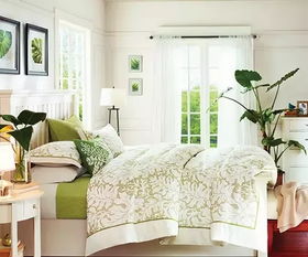 适合卧室长期养的花卉 为什么专家不建议卧室养花