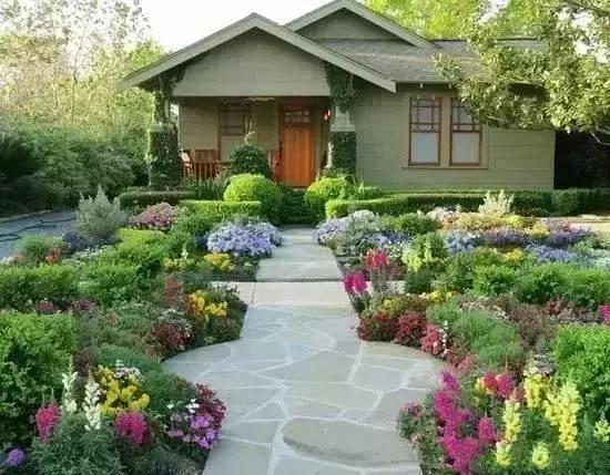 适合庭院的长不高的竹子 不超过2米高的竹子品种