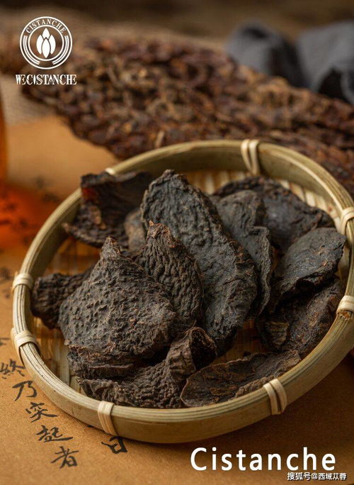 酒苁蓉的功能主治 酒苁蓉三种人不能吃