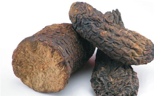 酒苁蓉的危害极大 酒苁蓉三种人不能吃