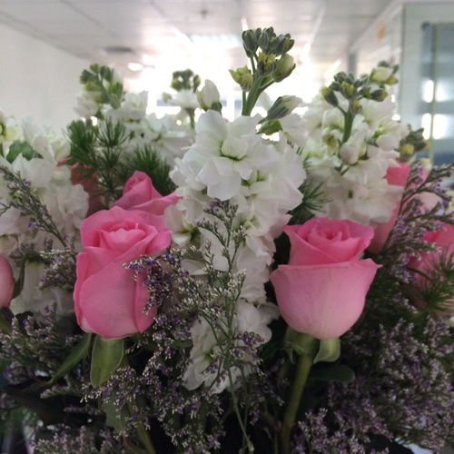 郑州市花叫什么名字 河南省的代表花是什么