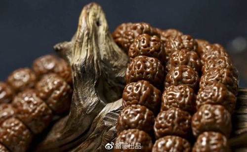 金刚的寓意和象征 金刚的含义