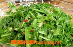 野生苦菜家常做法 干苦菜的做法及作用