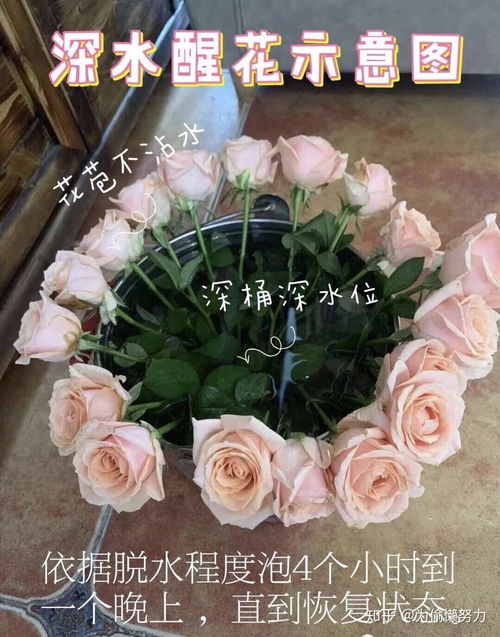 醒完花要换水吗 深水醒花可以放一夜吗