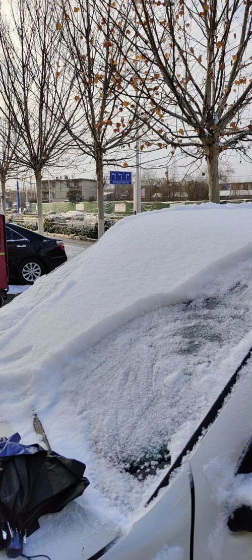 重庆下雪是哪一年最近 重庆下雪了吗2023