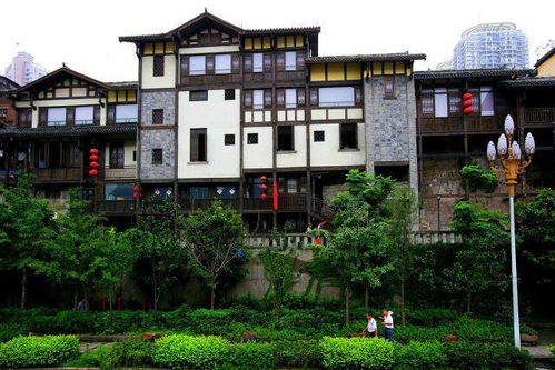 重庆市市树和市花 重庆市树黄桷树