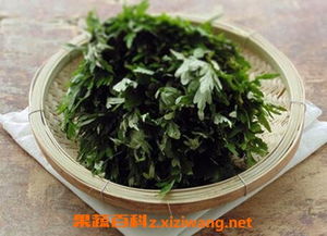 金钱草可以治妇科病吗 女性尿路感染吃金钱草有用吗